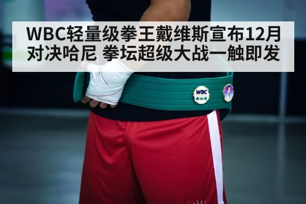 WBC轻量级拳王戴维斯宣布12月对决哈尼 拳坛超级大战一触即发（jiuyou）